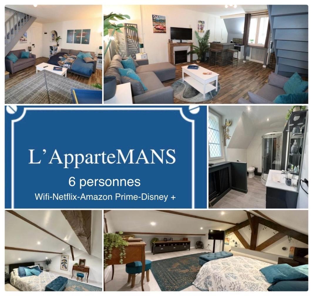 Duplex Au 2Eme Et De Notre Maison -Acces Au Jardin-Smart Tv-Streaming-Wifi Ле-Ман Экстерьер фото